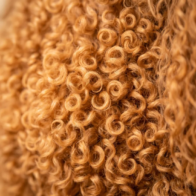 Detail kadeřavé srsti pudla